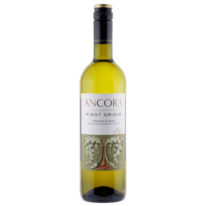 A bottle of Ancora Pinot Grigio white wine with a white label and an ornate romanesque image. It has a black and old screw cap all set on a white background.