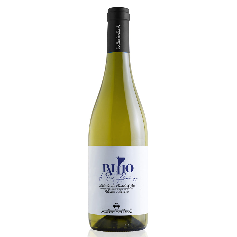 A bottle of white wine from the brand Monte Schiavo, specifically Pallio San Floriano, featuring a pale yellow-green glass bottle, a white label with blue text, and a black screw cap.