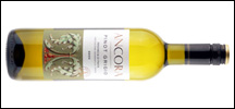 Ancora Pinot Grigio 2023