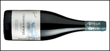 Casas del Bosque Gran Reserva Syrah 2021