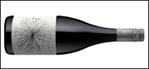 Dandelion Lion's Tooth McLaren Vale Shiraz Riesling 2019