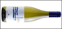 Monte Schiavo Ruviano Verdicchio Classico 2023