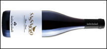 Monte Schiavo Sassaiolo Rosso Piceno 2021