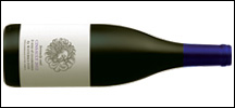 Waterkloof Seriously Cool Cinsault 2021