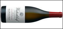 Waterkloof Sauvignon Blanc 2019